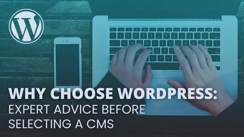 Why Choose WordPress